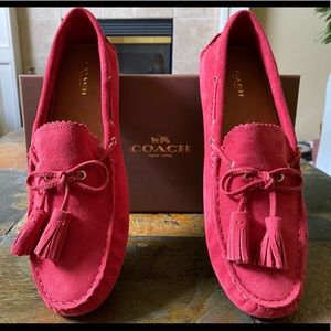Coach Nadia Suede Driving Loafer NEW
